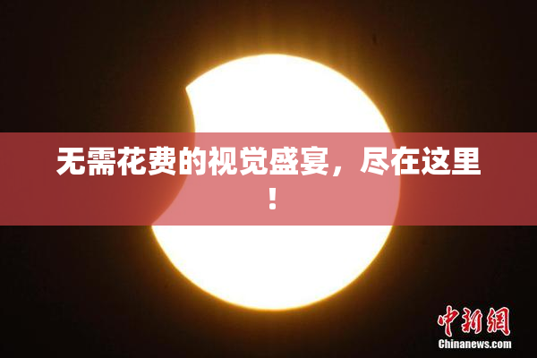 无需花费的视觉盛宴，尽在这里！
