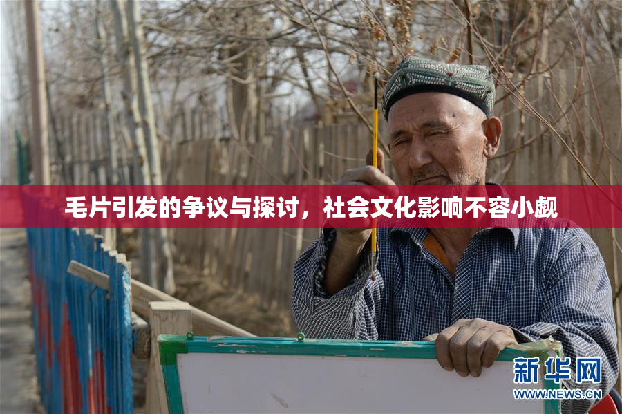 毛片引发的争议与探讨，社会文化影响不容小觑