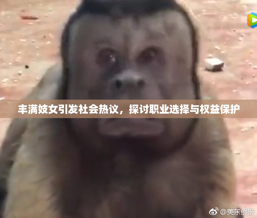 丰满妓女引发社会热议，探讨职业选择与权益保护