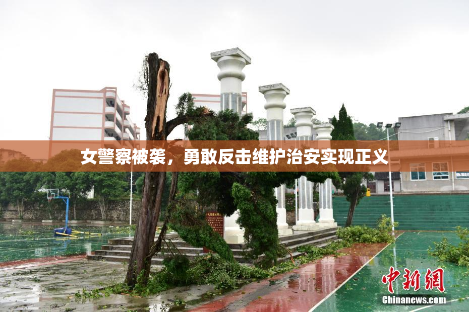 女警察被袭，勇敢反击维护治安实现正义