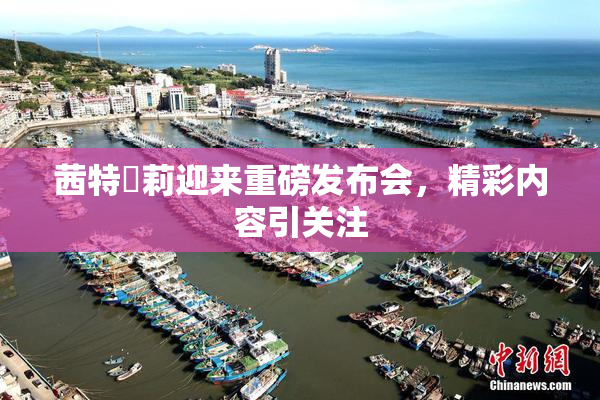 茜特菈莉迎来重磅发布会，精彩内容引关注