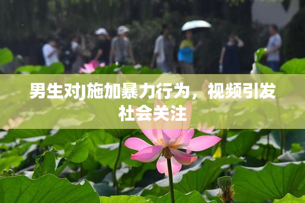 男生对J施加暴力行为，视频引发社会关注