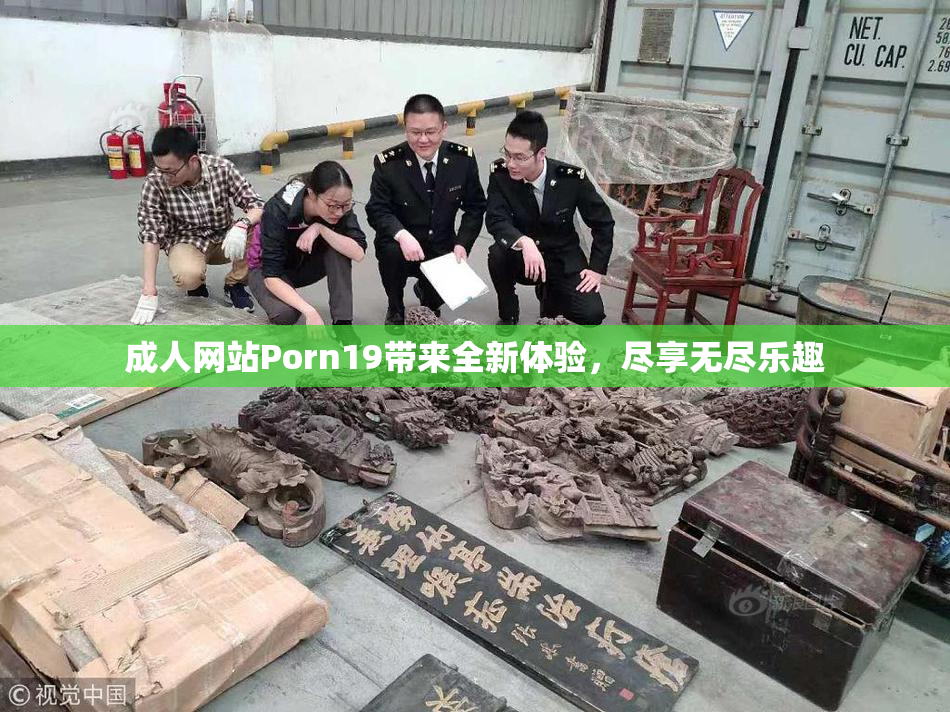 成人网站Porn19带来全新体验，尽享无尽乐趣