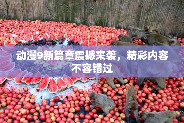 动漫9新篇章震撼来袭，精彩内容不容错过
