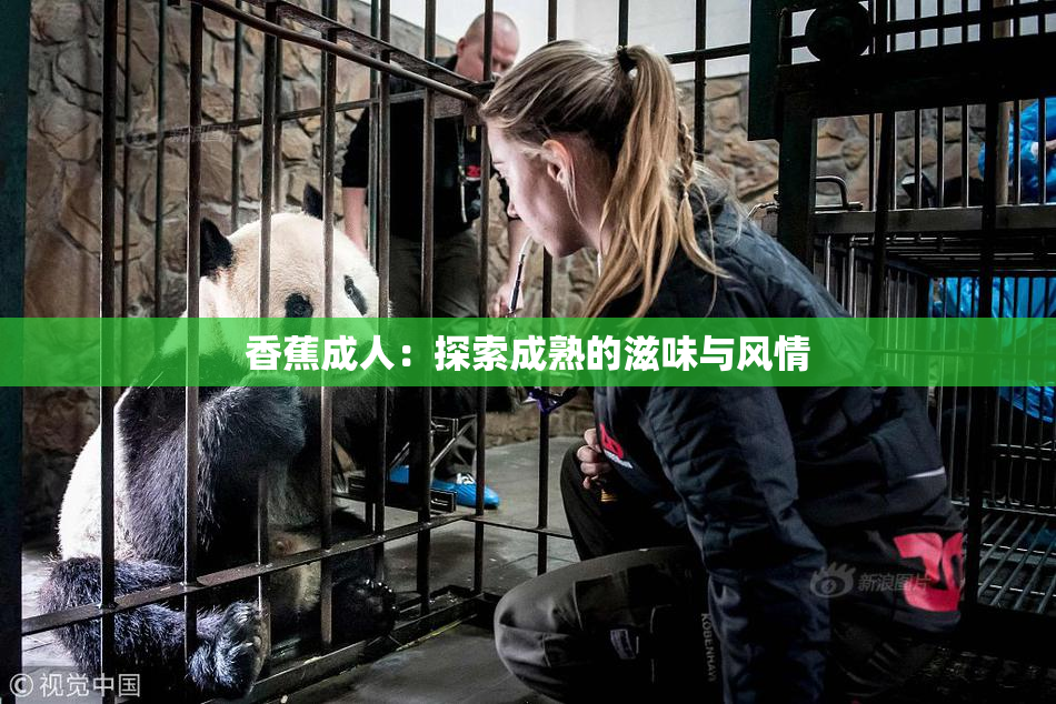 香蕉成人：探索成熟的滋味与风情