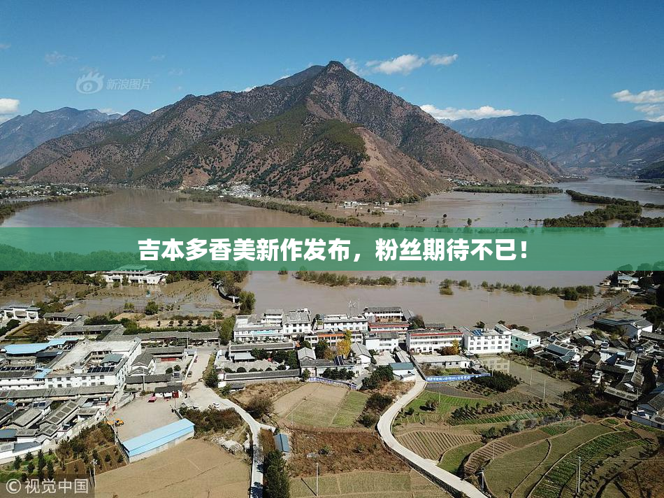 吉本多香美新作发布，粉丝期待不已！