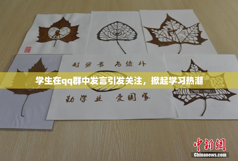 学生在qq群中发言引发关注，掀起学习热潮