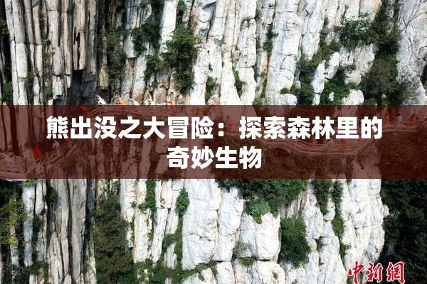 熊出没之大冒险：探索森林里的奇妙生物