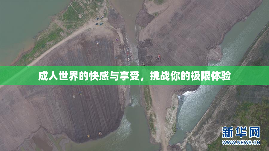 成人世界的快感与享受，挑战你的极限体验