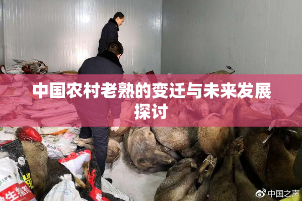 中国农村老熟的变迁与未来发展探讨