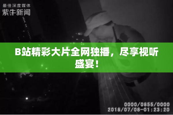 B站精彩大片全网独播，尽享视听盛宴！