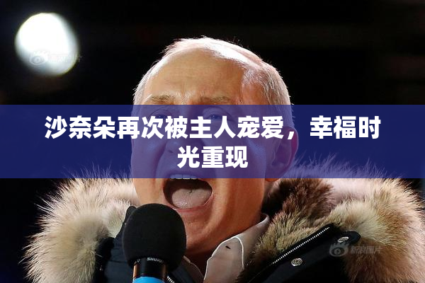 沙奈朵再次被主人宠爱，幸福时光重现