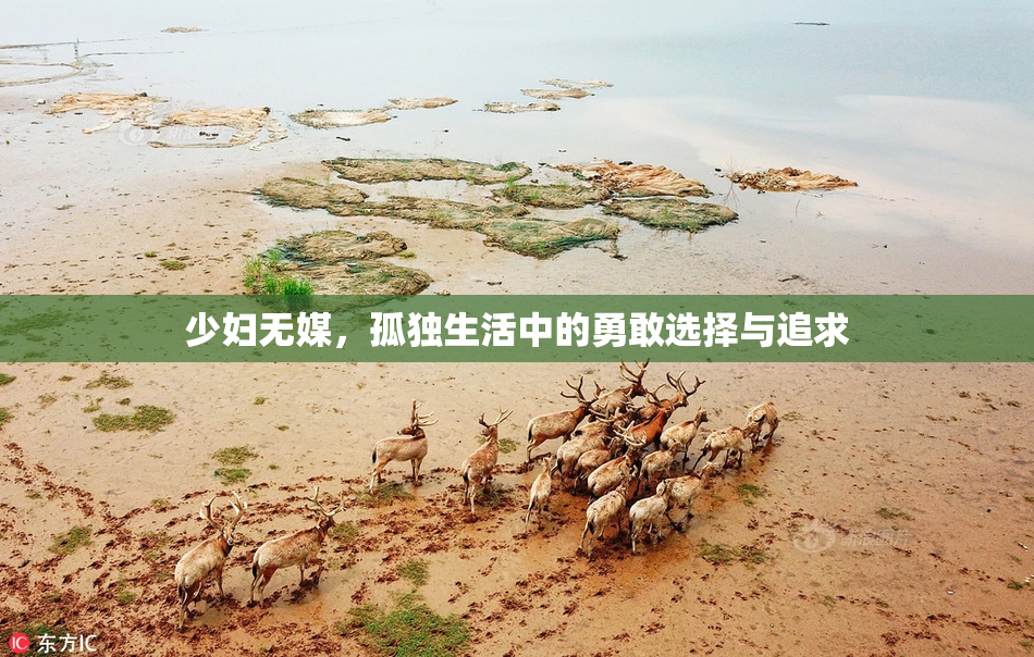 少妇无媒，孤独生活中的勇敢选择与追求