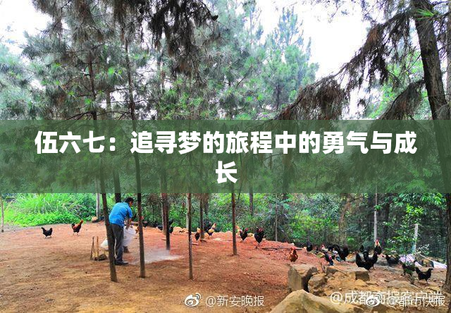 伍六七：追寻梦的旅程中的勇气与成长