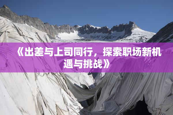 《出差与上司同行，探索职场新机遇与挑战》
