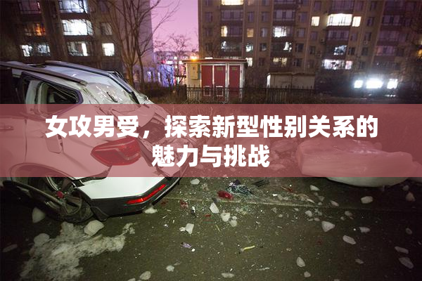 女攻男受，探索新型性别关系的魅力与挑战