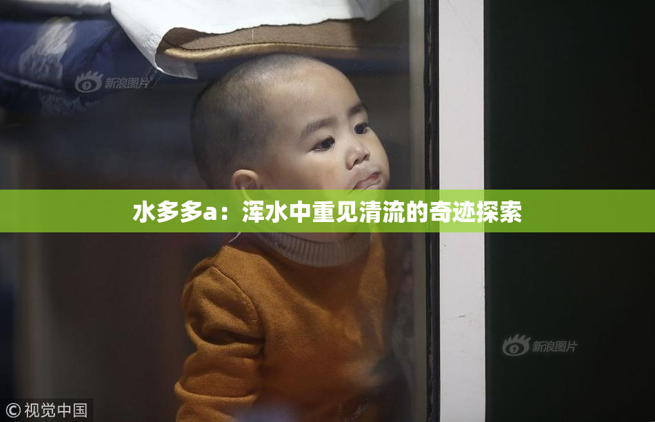 水多多a：浑水中重见清流的奇迹探索