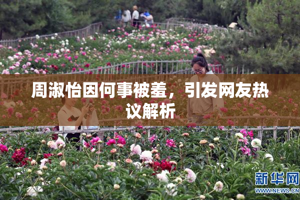 周淑怡因何事被羞，引发网友热议解析