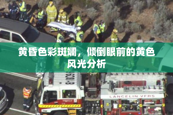 黄昏色彩斑斓，倾倒眼前的黄色风光分析