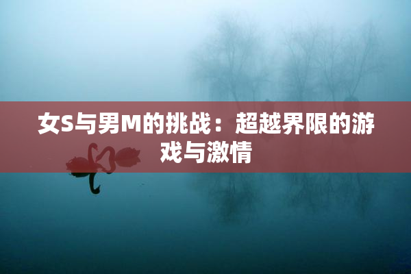 女S与男M的挑战：超越界限的游戏与激情