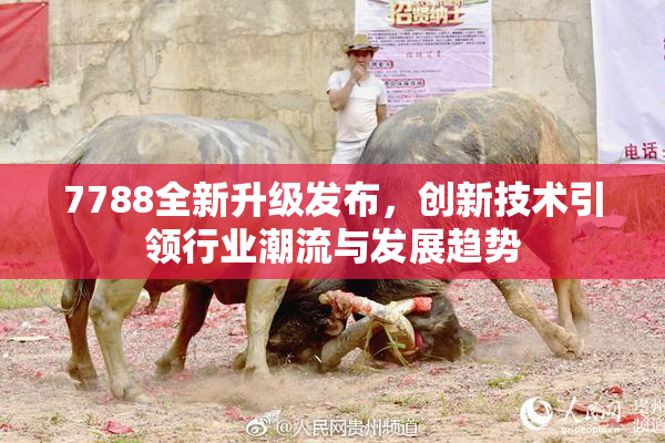 7788全新升级发布，创新技术引领行业潮流与发展趋势