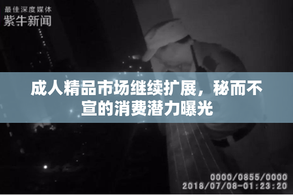 成人精品市场继续扩展，秘而不宣的消费潜力曝光