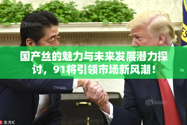国产丝的魅力与未来发展潜力探讨，91将引领市场新风潮！
