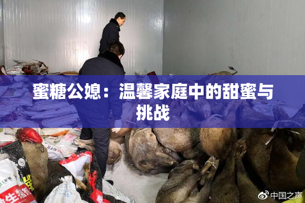 蜜糖公媳：温馨家庭中的甜蜜与挑战