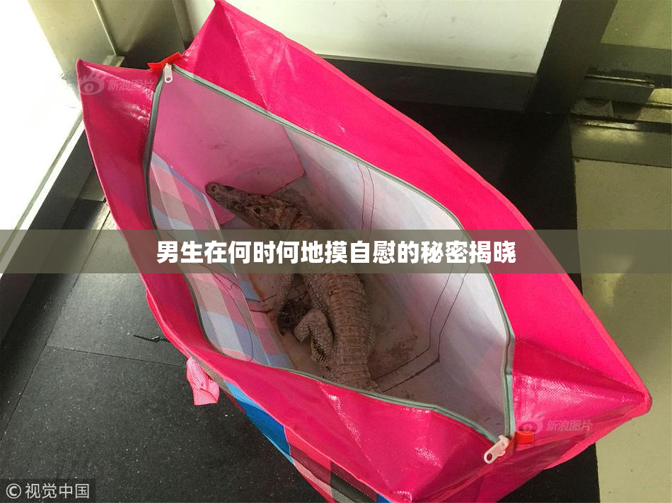 男生在何时何地摸自慰的秘密揭晓