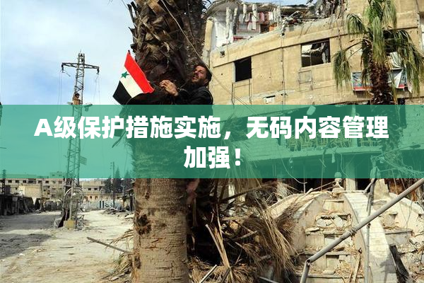 A级保护措施实施，无码内容管理加强！