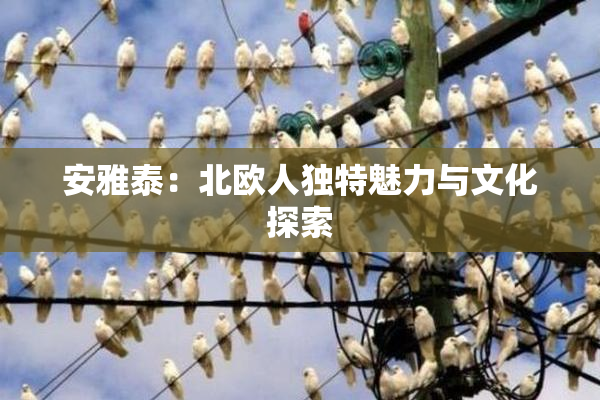 安雅泰：北欧人独特魅力与文化探索