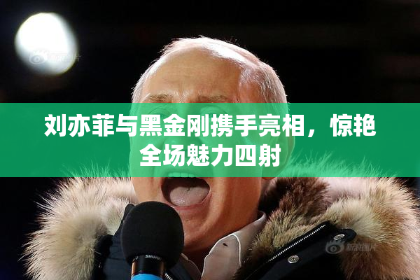 刘亦菲与黑金刚携手亮相，惊艳全场魅力四射