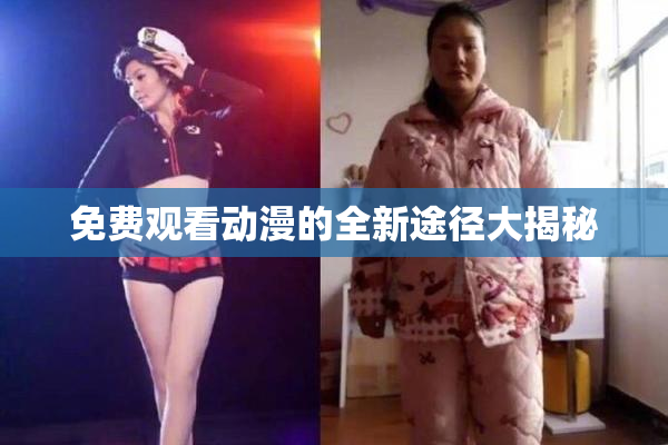 免费观看动漫的全新途径大揭秘
