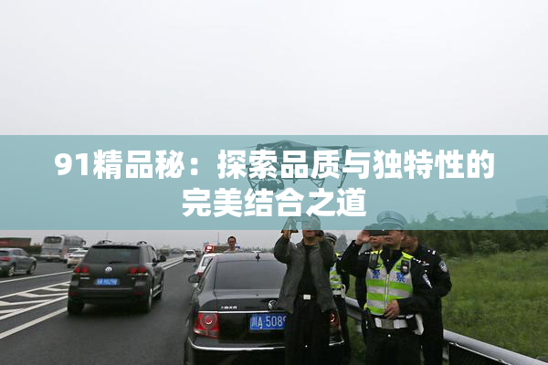 91精品秘：探索品质与独特性的完美结合之道