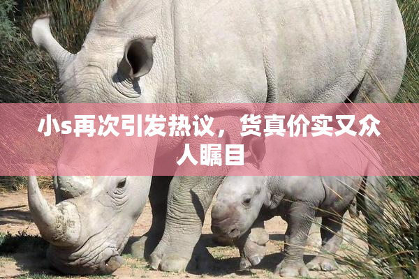 小s再次引发热议，货真价实又众人瞩目