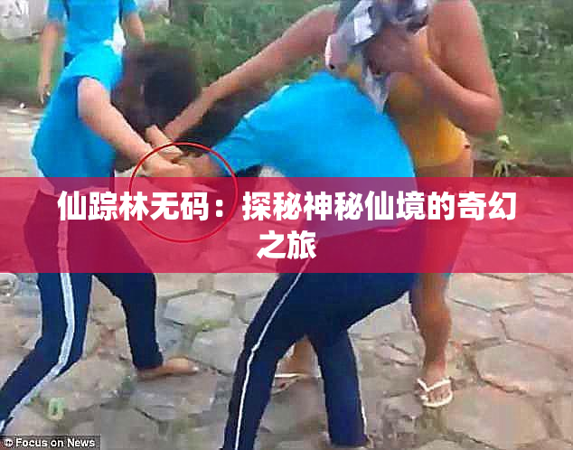 仙踪林无码：探秘神秘仙境的奇幻之旅