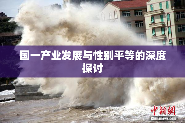 国一产业发展与性别平等的深度探讨