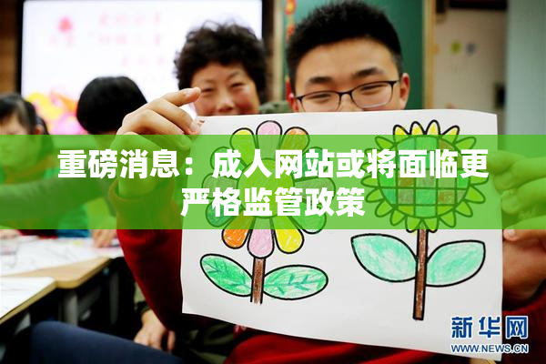 重磅消息：成人网站或将面临更严格监管政策