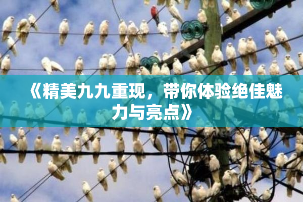 《精美九九重现，带你体验绝佳魅力与亮点》