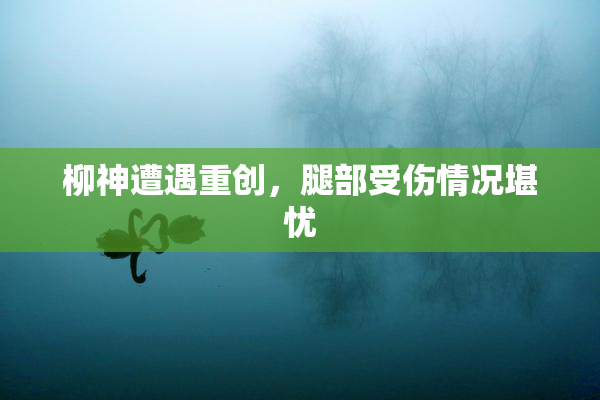 柳神遭遇重创，腿部受伤情况堪忧