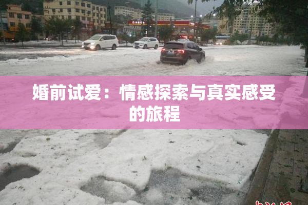 婚前试爱：情感探索与真实感受的旅程
