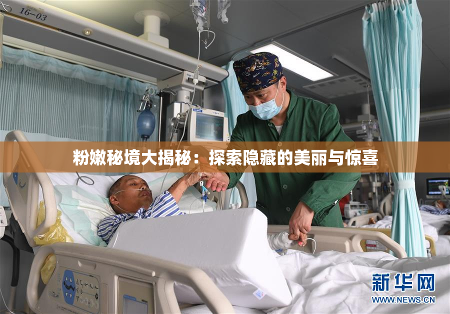 粉嫩秘境大揭秘：探索隐藏的美丽与惊喜