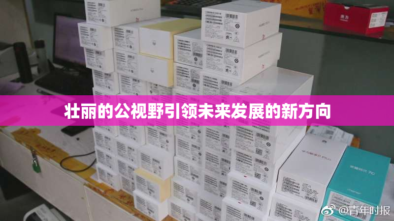 壮丽的公视野引领未来发展的新方向