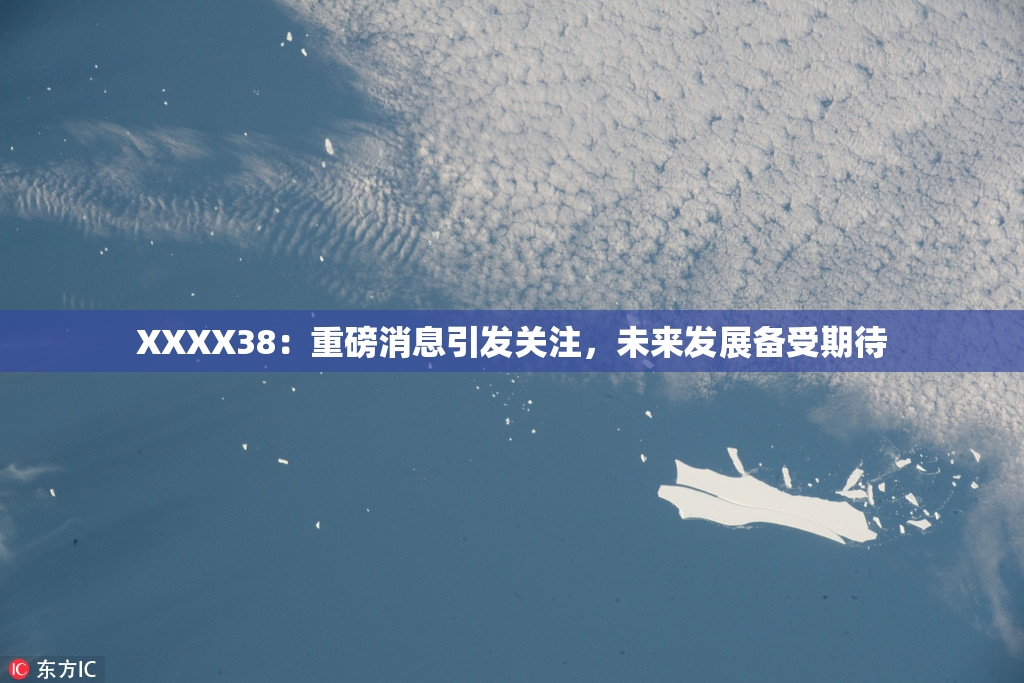 XXXX38：重磅消息引发关注，未来发展备受期待