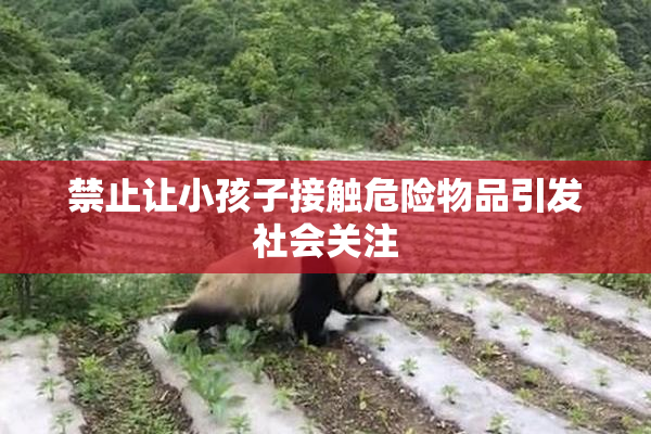 禁止让小孩子接触危险物品引发社会关注