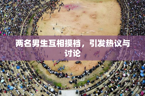 两名男生互相摸裆，引发热议与讨论