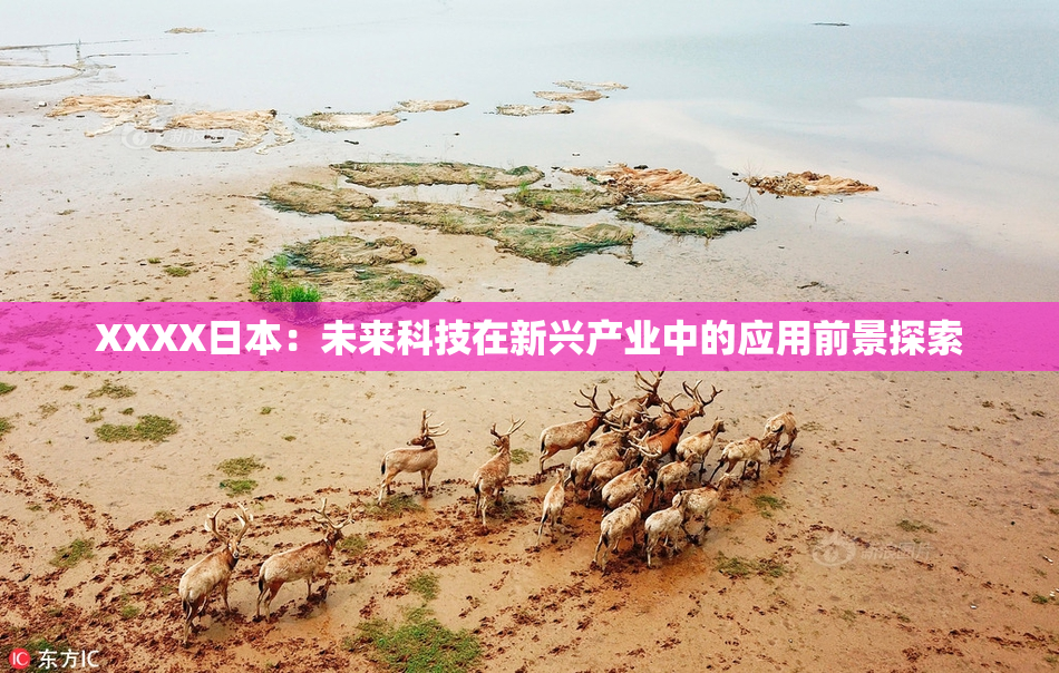 XXXX日本：未来科技在新兴产业中的应用前景探索