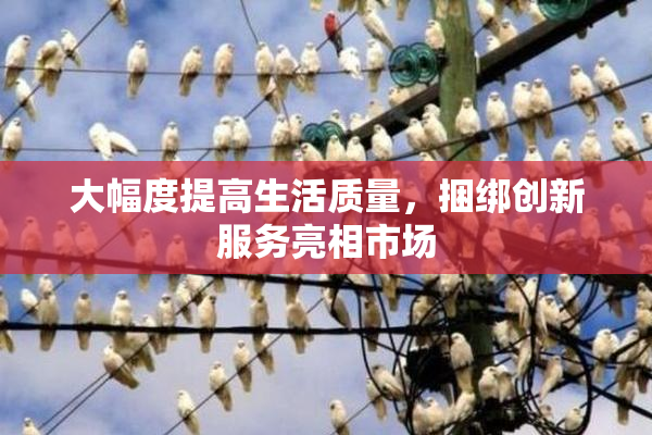大幅度提高生活质量，捆绑创新服务亮相市场