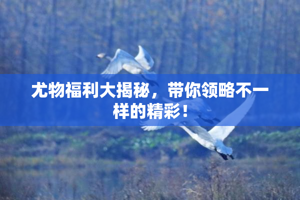 尤物福利大揭秘，带你领略不一样的精彩！