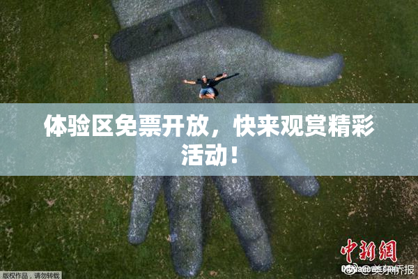 体验区免票开放，快来观赏精彩活动！